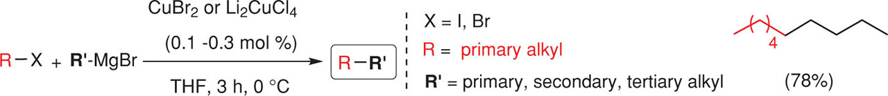 Fig. 2 Cu-catalyzed coupling of primary alkyl bromide or iodides with alkyl Grignard reagents [13–15].