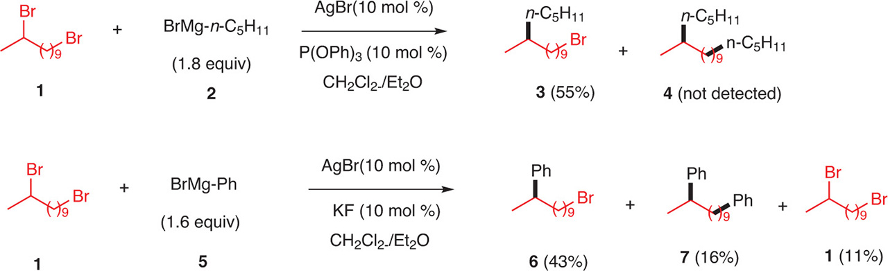 Fig. 12 Chemoselective coupling of phenylmagnesium bromide with dibromo alkyl derivatives.