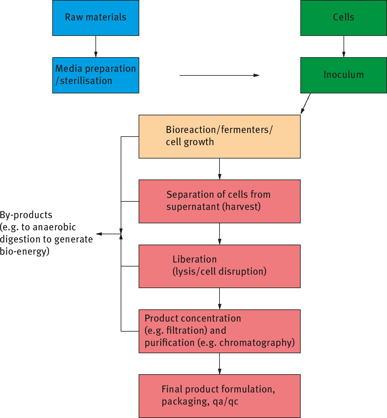 Figure 2: Block diagram of a bioprocess for the manufacture of a purified biomolecule via fermentation. The stage of product concentration and purification represents approximately 50 to 80% of total processing costs.