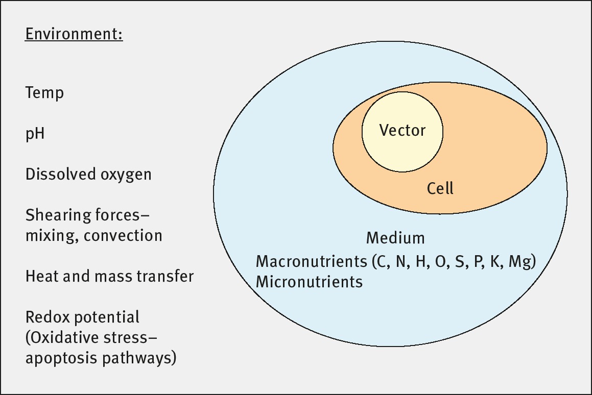 Figure 3: Upstream or BIOREACTION section: Selection and conversion.