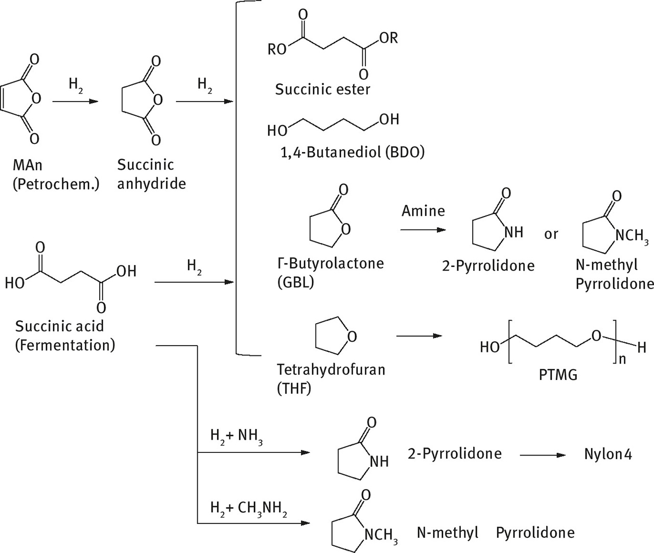 Fig. 3: Catalytic transformation of succinic acid into valuable derivatives.