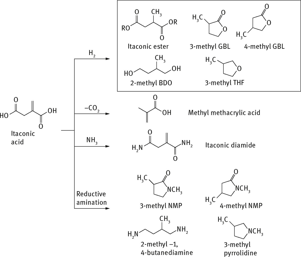 Fig. 6: Catalytic transformation of succinic acid into valuable derivatives.