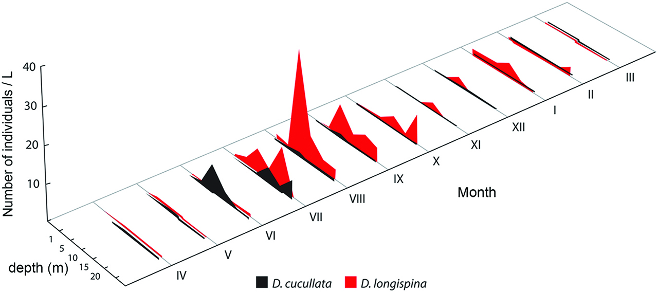 Figure 4: Niche separation in space and time between two Daphnia species in Visovac Lake.