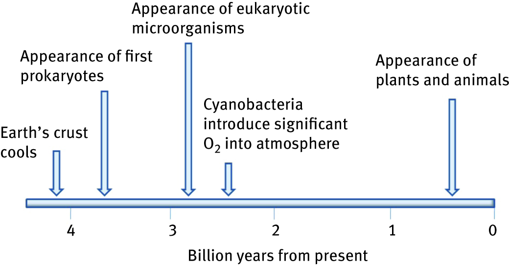 Figure 1: Approximate timeline in the history of life on Earth [1].