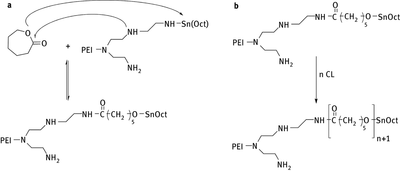 Figure 28: Initiation (a) and propagation (b) of the polymerization reaction