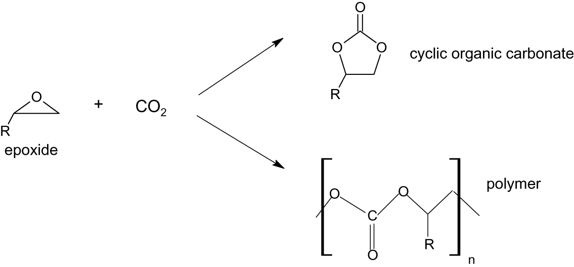 Figure 5: Reactions of CO2 with epoxides.