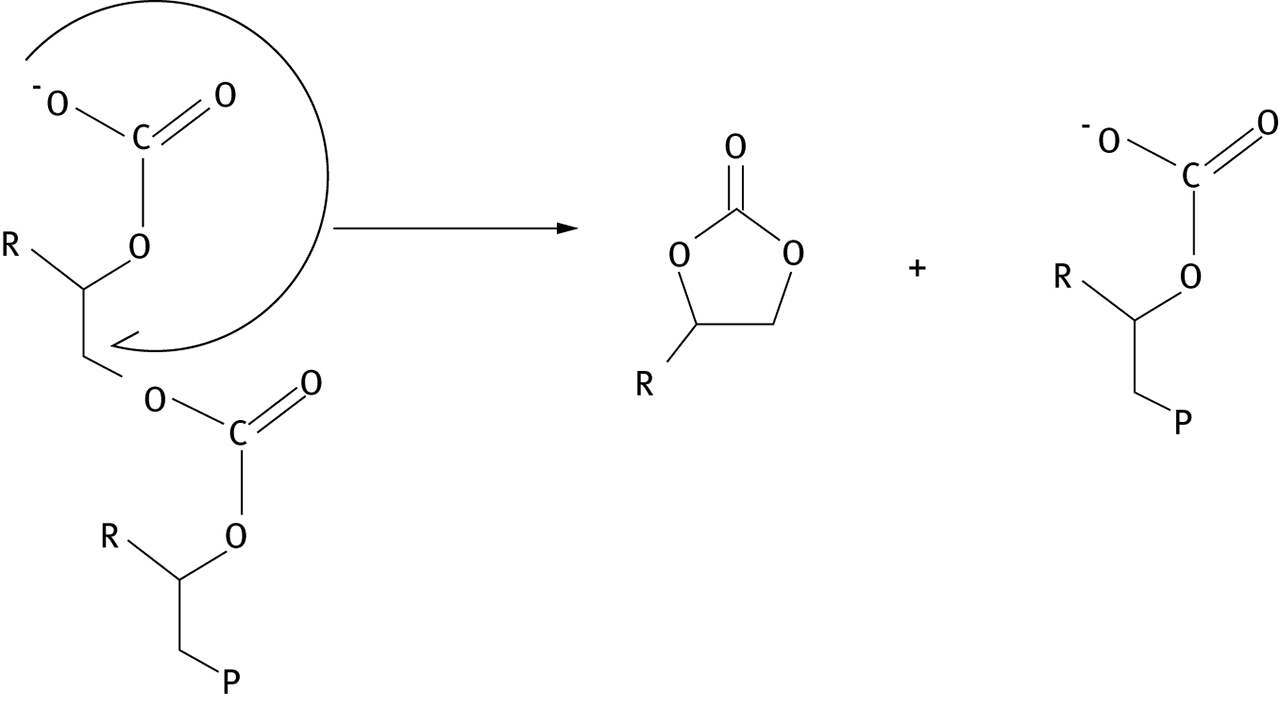 Figure 7: Carbonate back-biting reaction. “P” indicates polymer chain.