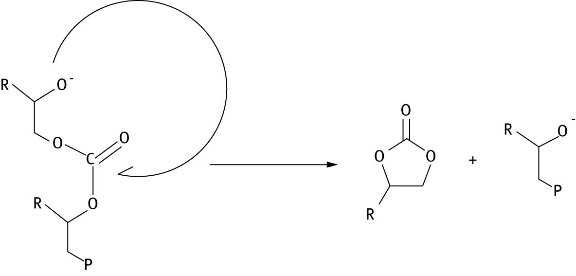Figure 8: Alkoxide “back-biting” reaction producing a cyclic organic carbonate. “P” represents polymer chain.
