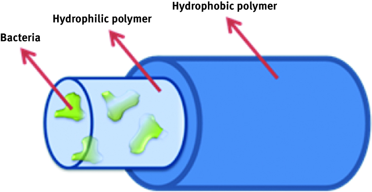 Figure 14: Scheme of a composite nanofiber.