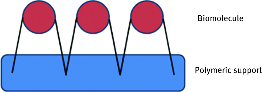 Figure 2: Scheme of chemical attachment of biomolecule to the polymeric support.