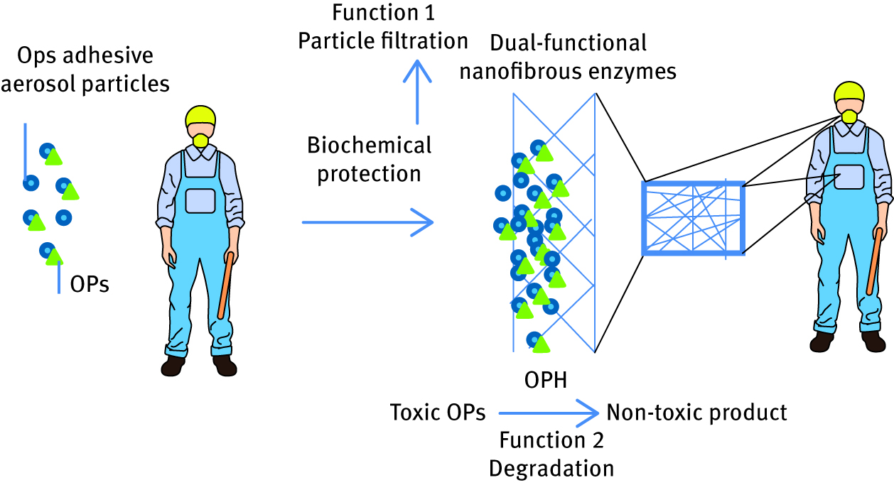 Figure 5: Schematic demonstration of double function of OP hydrolase-immobilized nanofibrous polymeric clothing.