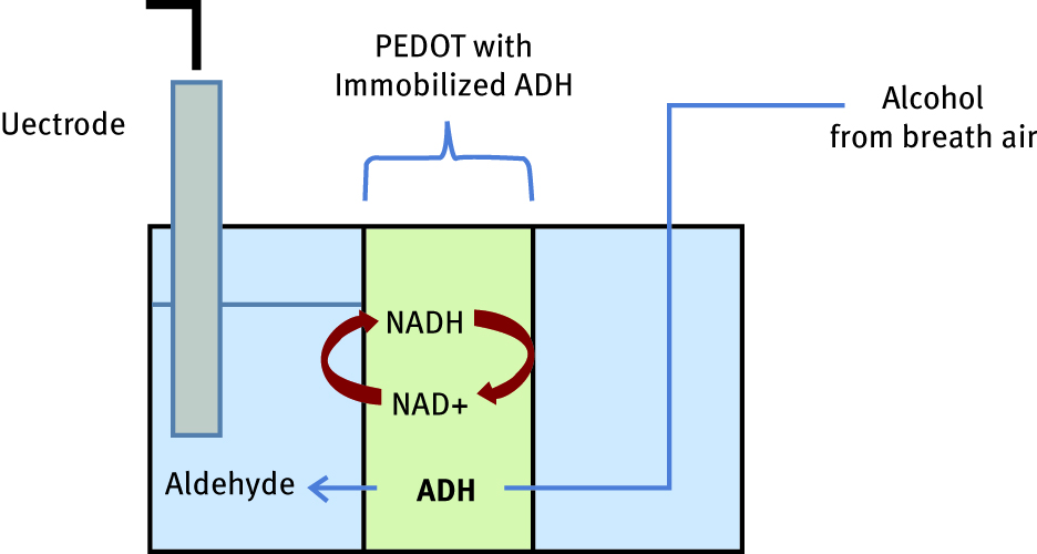 Figure 7: Schematic representation of the breathable electrode based alcohol detector device.