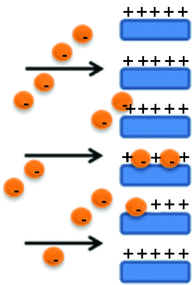 Figure 8: Scheme of affinity membrane separation mechanism.