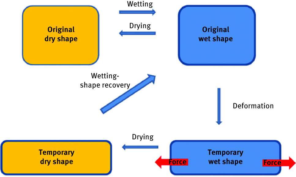 Figure 9: Schematic representation of water activated switchable shape memory effect mechanism.