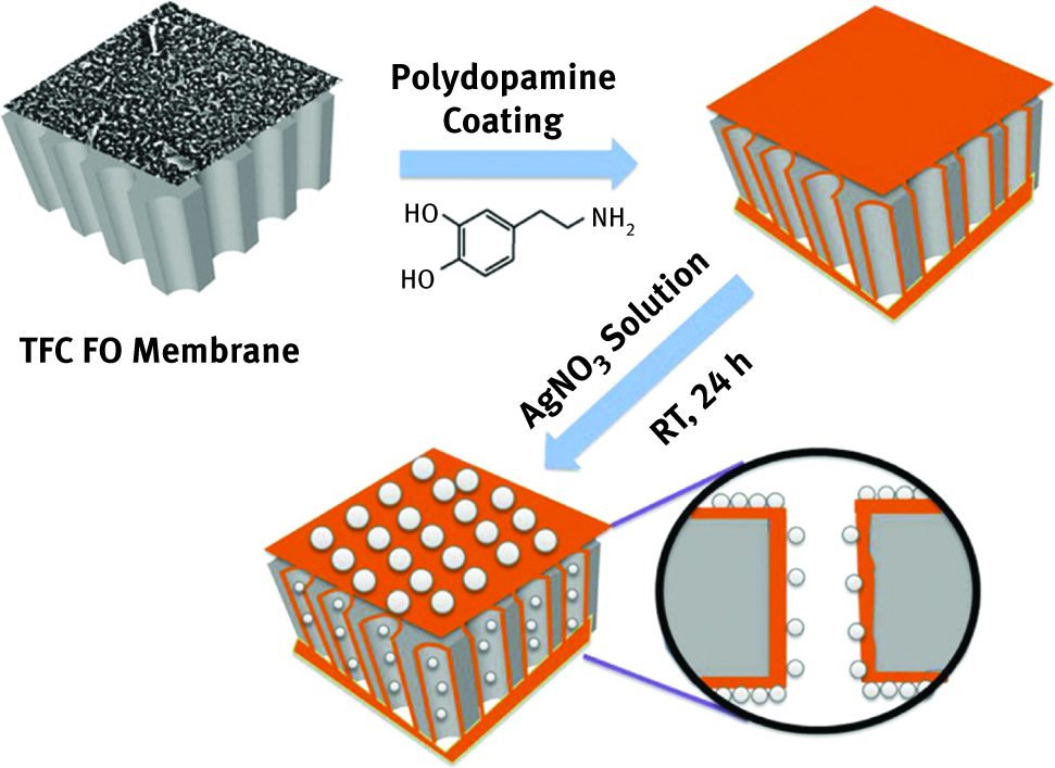 Figure 1. In situ synthesis procedure of silver nanoparticles on both sides of TFC FO membrane. Reprinted with permission from [25]. Copyright (2016) American Chemical Society.
