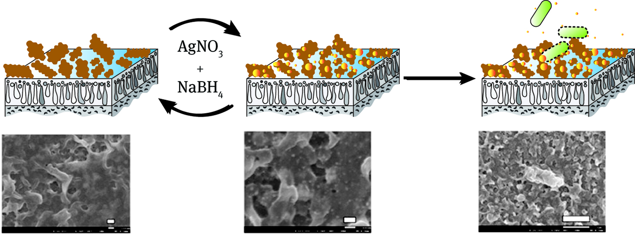 Figure 2. Modification of TFC FO membranes surface. Reprinted with permission from [26]. Copyright (2016) American Chemical Society.