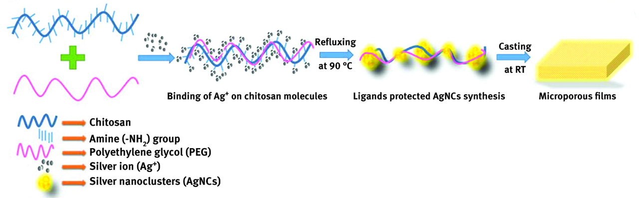 Figure 4. Formation mechanism of AgNCs in CS-PEG solution. Reprinted with permission from [28]. Copyright (2016) American Chemical Society.