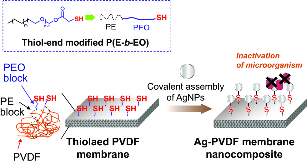 Figure 6. Sustainable anti-biofouling ultrafiltration membrane nanocomposites by covalently immobilizing silver nanoparticles (AgNPs) onto poly(vinylidene fluoride) (PVDF) membrane mediated by a thiol-end functional amphiphilic block copolymer linker. Reprinted with permission from [31]. Copyright (2011) American Chemical Society.