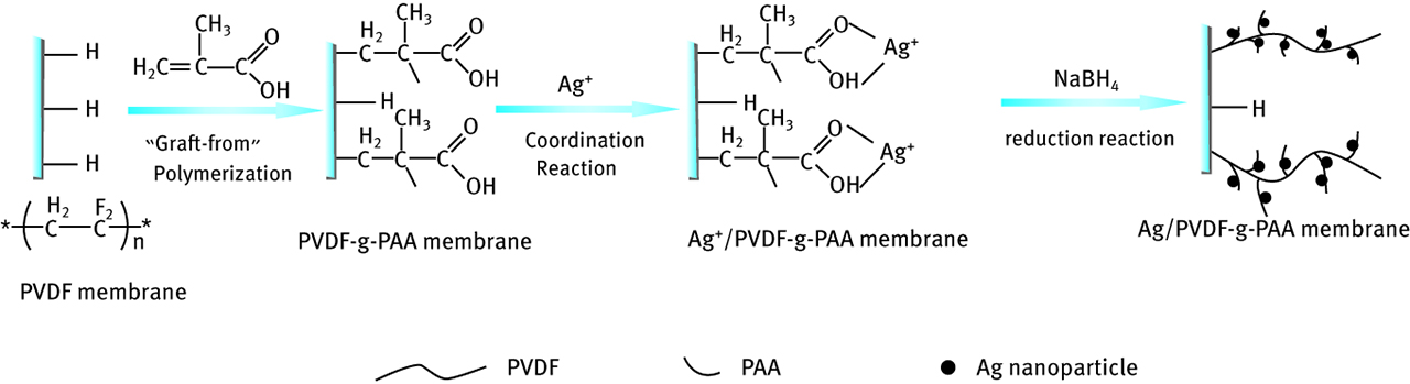 Figure 7. Silver modification of PVDF membrane.