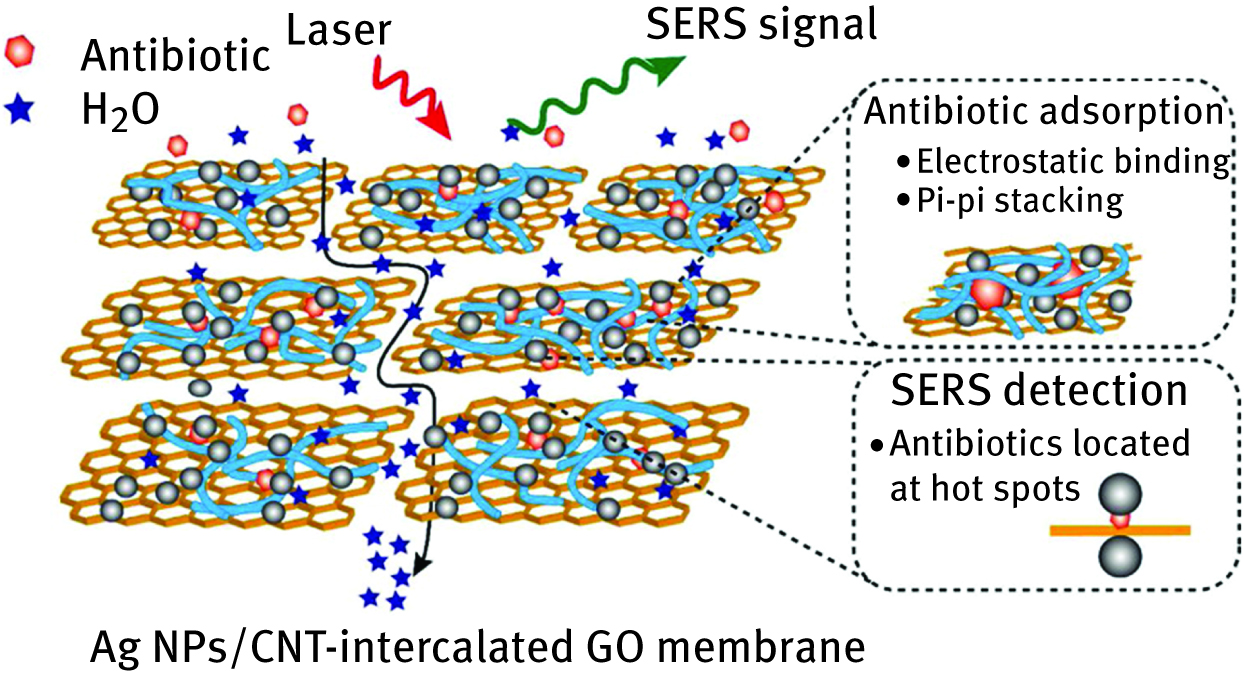 Figure 8. Scheme of AgNPs/CNT-GO membranes for SERS detection of antibiotics. Reprinted with permission from [54]. Copyright (2016) American Chemical Society.