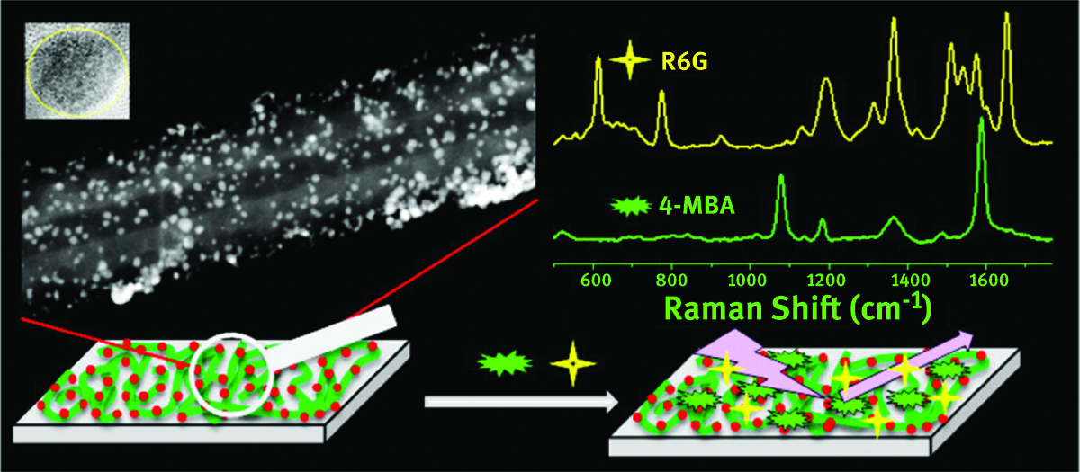 Figure 9. SEM micrograph of Ag /polyaniline fiber and SERS enhancements. Reprinted with permission from [56]. Copyright (2015) American Chemical Society.