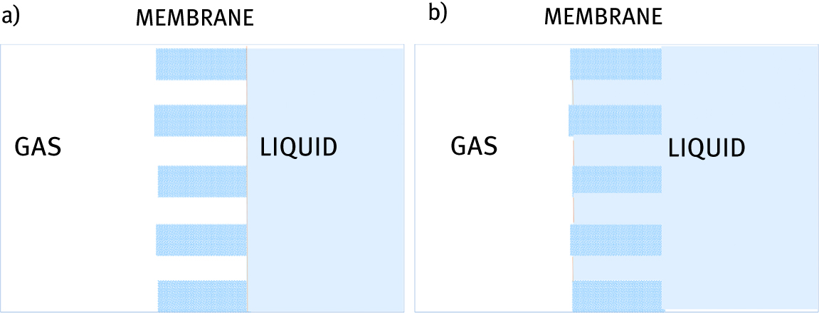 Figure 3: Gas–liquid membrane contactor in dry (a) and wet (b) modes. The contact surface area is marked with red color.