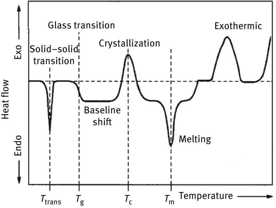 STRONG 006 THERMAL Black Mサイズ A review on differential scanning calorimetry technique and