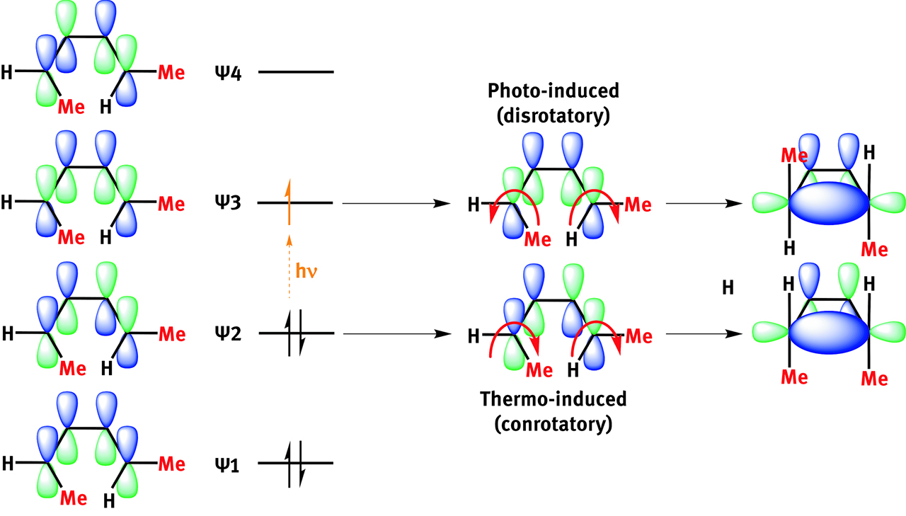 Figure 1: Electrocyclic reactions can be predicted through simple Huckel diagrams. (E,Z)-2,4-hexadiene can cyclize giving either cis- or trans-dimethylcyclobutene (on the right) depending on orbital control (and vice-versa for the ring-opening reaction).