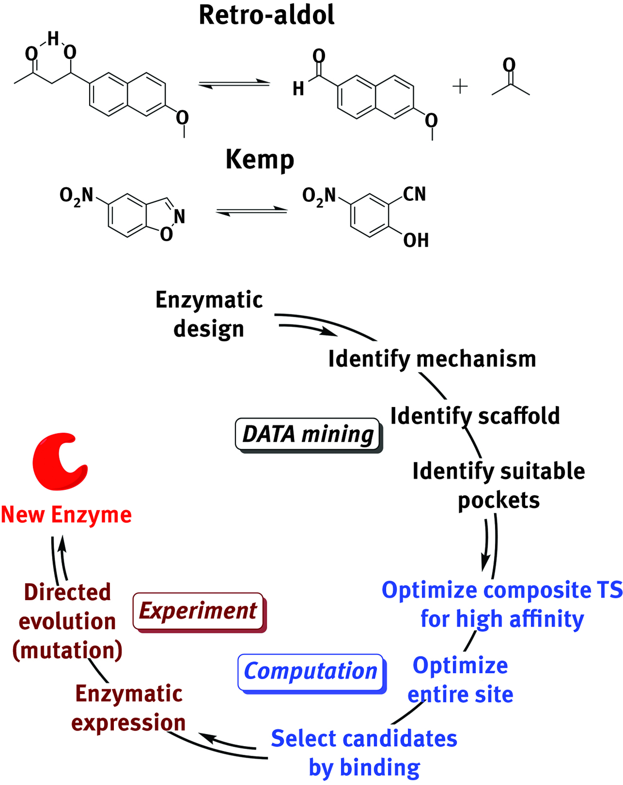 Figure 11: Nature does it better, but scientists are closing the gap. The route to “artificial” enzymes is an interplay ground for statistical techniques, theoretical computation and targeted synthesis.