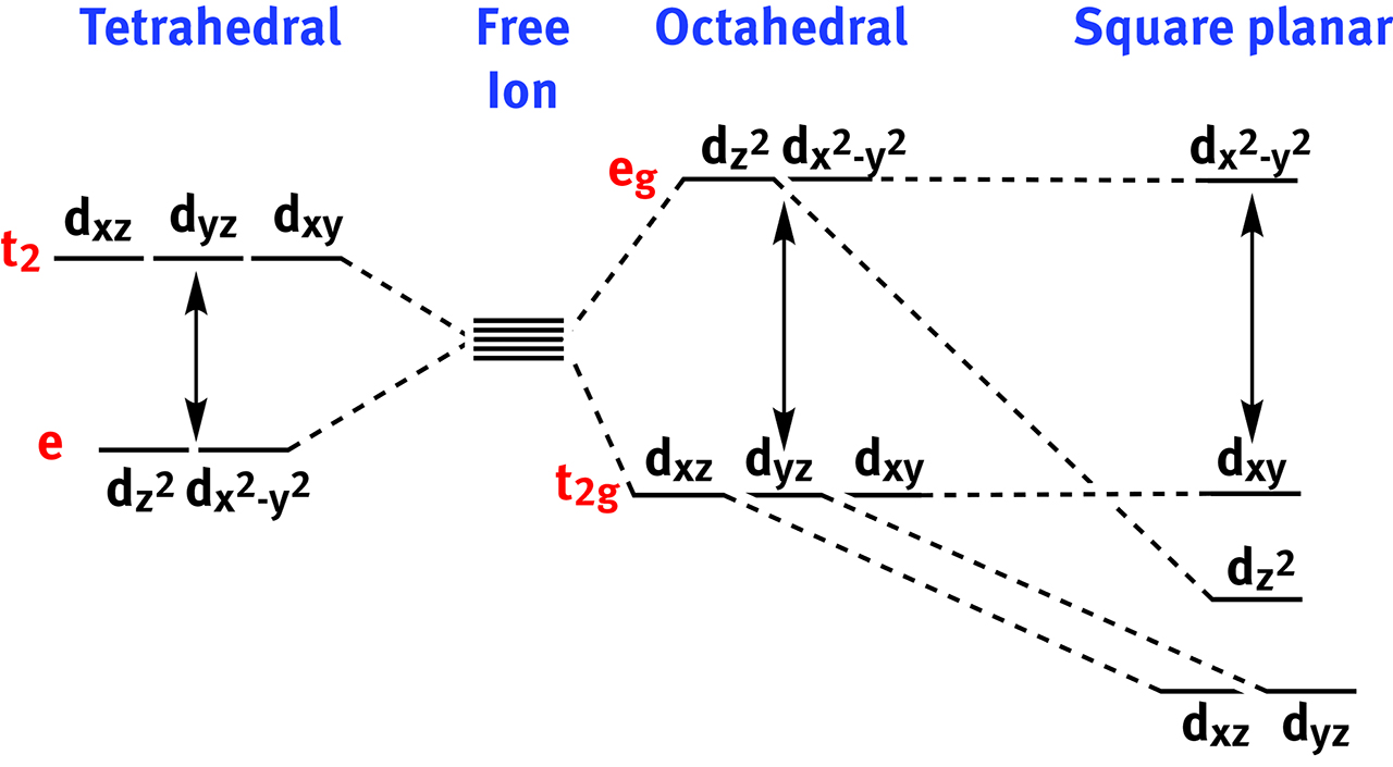 Figure 2: The destabilization of the orbitals of the metal, hence the crystal field splitting energy, depends upon the geometric arrangements of the ligands around it. The main classes of crystal fields are represented in this figure.
