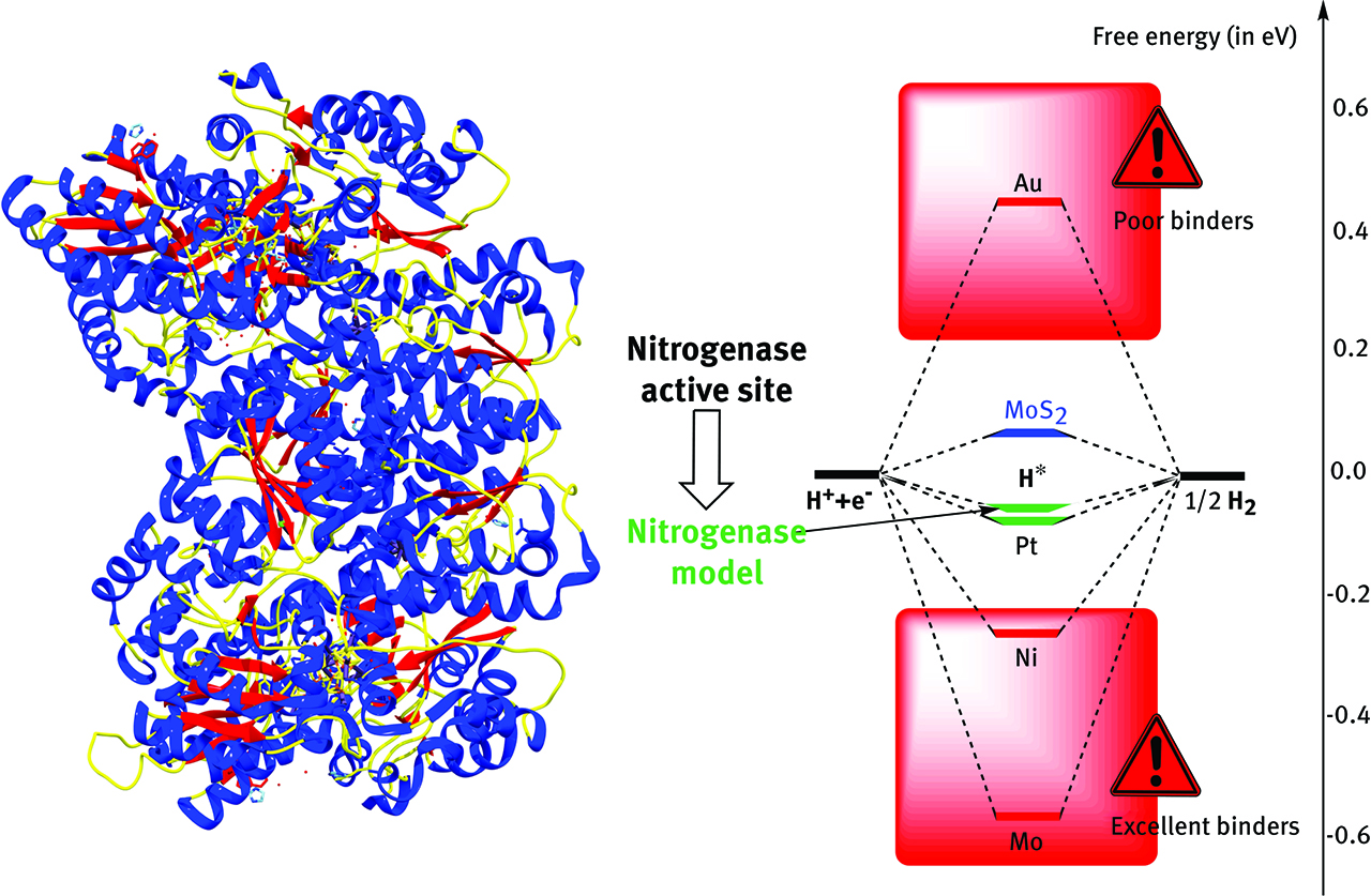 Figure 7: Learning from Nature. Mimicking the active site of enzymes like nitrogenase FeMo cofactor (left) leads to rational design of surfaces evolving H2, like nanosized MoS2.