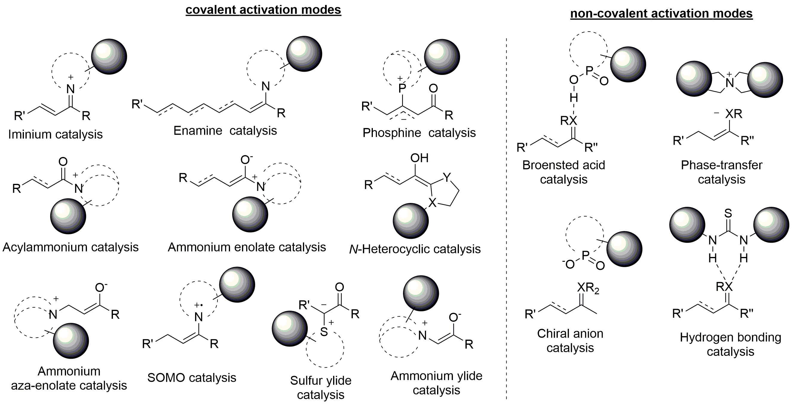 Figure 1: 
          covalent and non-covalent activation modes of substrate activation
        