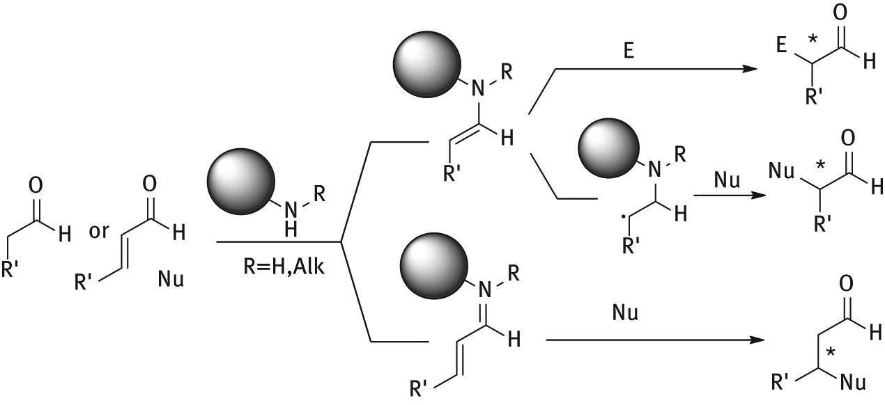 Figure 2: 
          Operating catalytic mechanisms in aminocatalysis
        