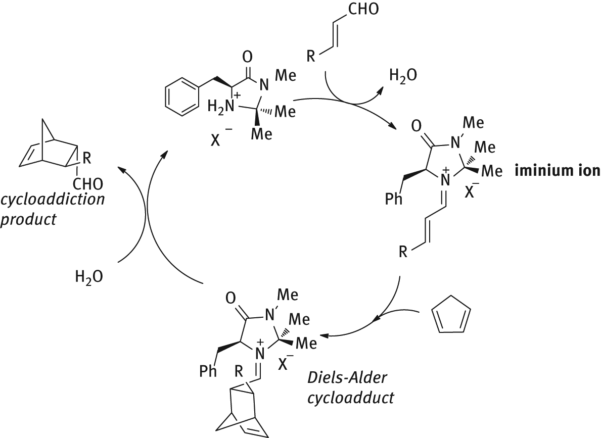 Figure 4: 
          Reaction mechanism for stereoselective Diels Alder cycloaddition promoted by chiral imidazolidinones.
        