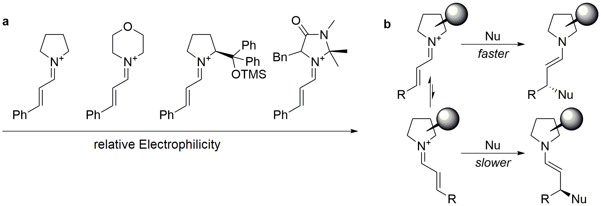 Figure 6: 
          electrophilicity scale for iminium ions
        