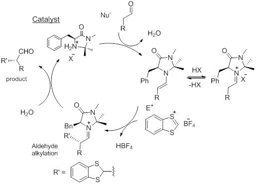 Figure 8: 
            Reaction mechanism for the stereoselective alkylation of aldehydes promoted by chiral imidazolidinone.
          