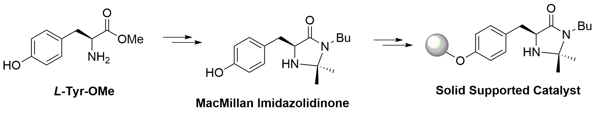 Figure 11: 
          Immobilization of chiral imidazolidinones.
        