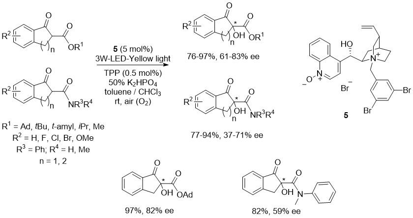 Figure 5: 
            Enantioselective photo-oxygenation of β-dicarbonyl compounds catalyzed by 5.
          