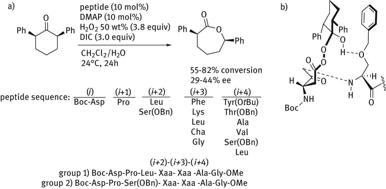 Figure 35: 
          (A) Peptide catalysts for the BV oxidation of encumbered directing group-free ketone. (B) Hypotesized H-bonding interactions between Criegee intermediate and Ser(OBn) side-chain.
        