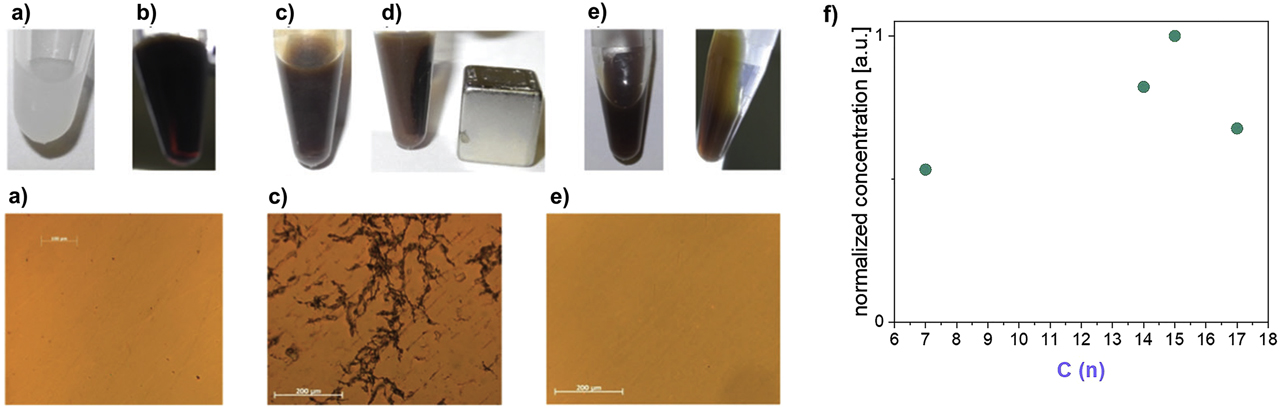 Figure 10: 
Integration of 2.5 nm size CoFe2O4 MNPs coated with (pro)mesogenic ligand 3 in 5CB: (a) 5CB, (b) colloidal MNP dispersion in the isotropic 5CB phase, (c) after transition to the nematic 5CB phase, (d) magnetic separation of macroscopic agglomerate and (e) stable colloidal MNP dispersion (0.12 wt%) in the nematic phase of 5CB. The corresponding POM images (under crossed polarizers) of the thin film samples in a LC test cell (25 µm, parallel cell rubbing) are shown below (Reproduced from Ref. [20] with permission from the Physical Chemistry Chemical Physics Owner Societies). (f) The concentration of MNPs (mass fraction of cobalt ferrite as determined by inductively coupled plasma optical emission spectroscopy (ICP-OES)) in their stable colloidal dispersion in the nematic 5CB phase depends on the chain lengths of the (pro)mesogenic ligand [41].
