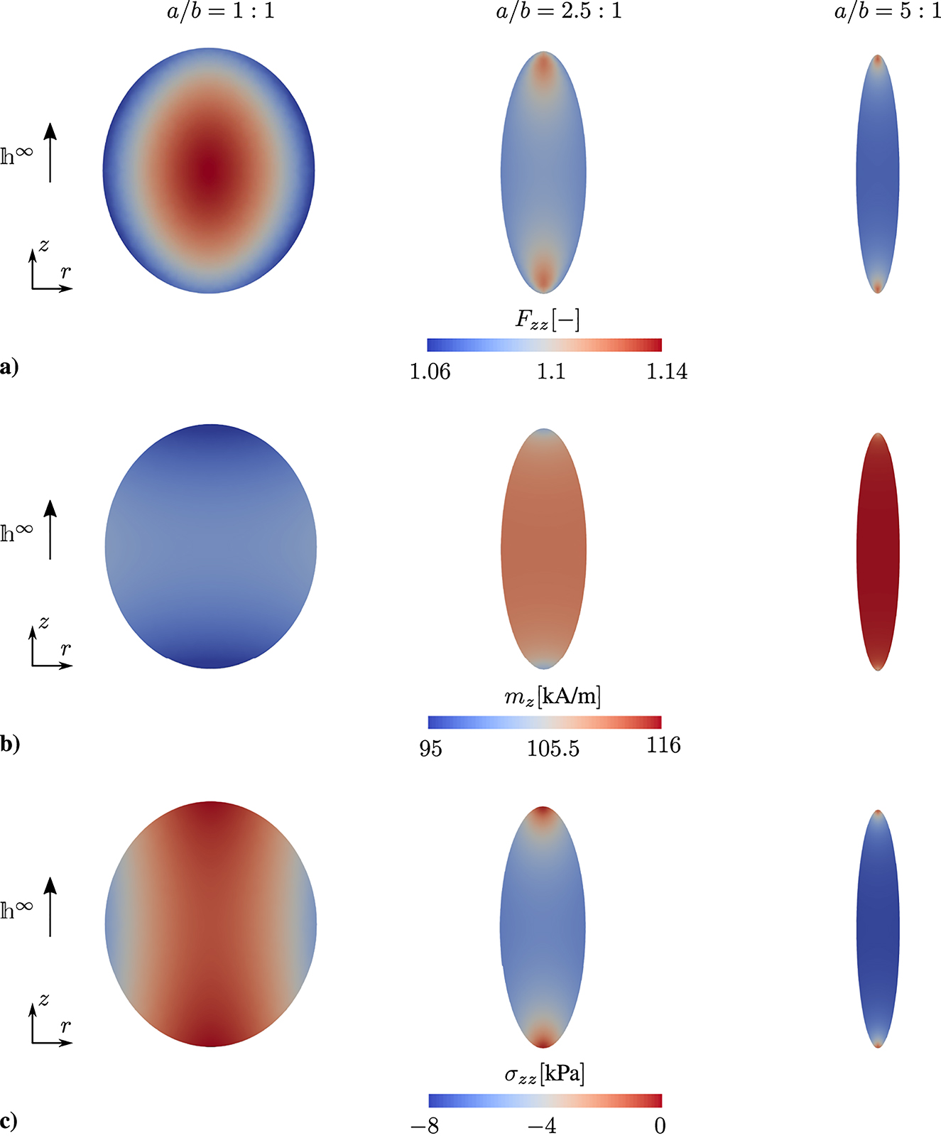 Figure 2: 
Macroscale modeling of ferrogels. Spatial distribution of (a) the deformation gradient component F

zz
, (b) the magnetization component, m

z
 (c) the mechanical cauchy stress component 




σ

z
z





${\sigma }_{zz}$



 in the initially spheroidal ferrogel specimens with aspect ratios of a/b = {1:1,  2.5:1,  5:1} at an external magnetic field strength 




h
∞

=

h
∞


e
z




${\mathbb{h}}^{\infty }={h}^{\infty }{\boldsymbol{e}}_{z}$



 with 




h
∞

=
200



${h}^{\infty }=200$



 kA/m.
