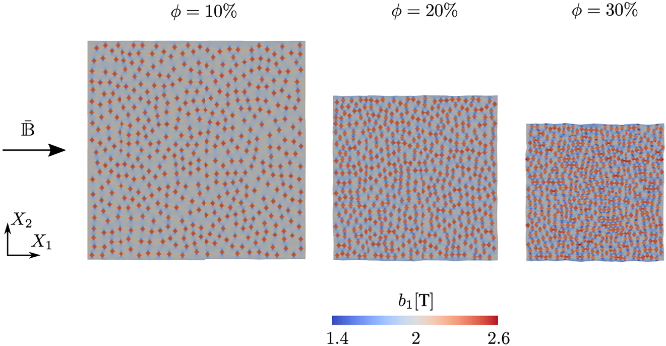 Figure 4: 
Microscale modeling of ferrogels. Spatial distribution of the local magnetic induction b
1 in the unit cells with particle volume fraction 



ϕ
=

{

10
%
,
 
20
%
,
 
30
%

}




$\phi =\left\{10\text{\%},\,20\text{\%},\,30\text{\%}\right\}$



 at a macroscopic magnetic induction of 





B
¯


=


B
¯



e
1




$\overline{\mathbb{B}}=\overline{B}{\boldsymbol{e}}_{1}$



 with 





B
¯


=
2
 
T



$\overline{B}=2\,\text{T}$



.
