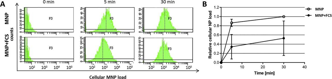 Figure 14: 
Interactions of polyethylenimine (PEI)-magnetic nanoparticles (MNPs) with human brain microvascular endothelial cells (HBMECs) as function of a present biomolecule corona. Cells were incubated for 5 or 30 min with particles without (MNPs) or with (MNP + FCS) a biomolecule corona. It can be seen that for both time points the presence of a biomolecule corona leads to a reduction of the MNP load to the cells [50].
