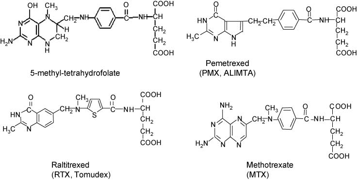 Figure 2 Structural formulas.5-Methyl-tetrahydrofolate (5-CH3-THF), the physiological precursor for 5,10-CH2-THF in a reaction catalyzed by methylene tetrahydrofolate (MTHFR), methotrexate (MTX), pemetrexed (PMX, ALIMTA) and Raltitrexed (RTX, Tomudex).