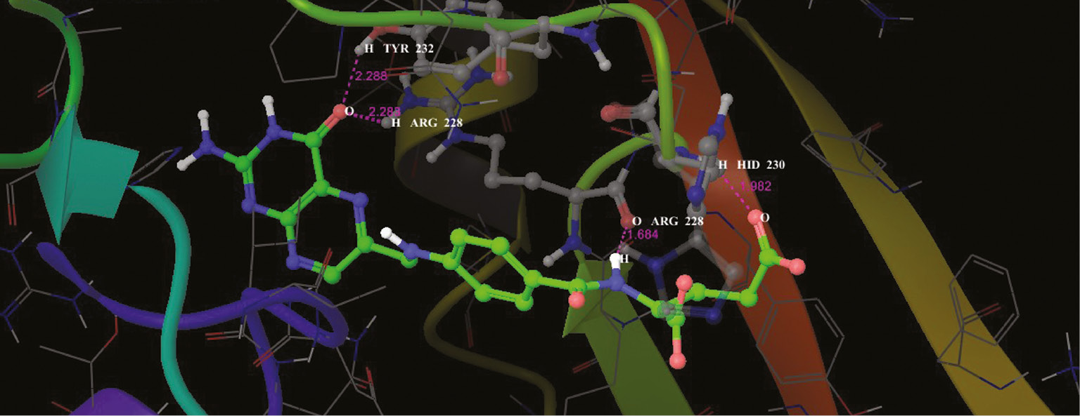 Figure 11: Interaction profile of folic acids and cytosine deaminase in the functional site as ribbon representation.