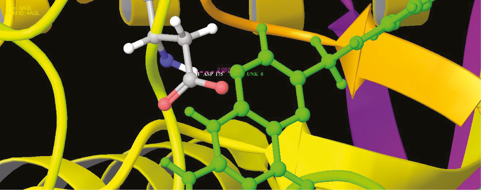 Figure 12: Interaction profile of folic acids and guanine deaminase in the functional site as ribbon representation.