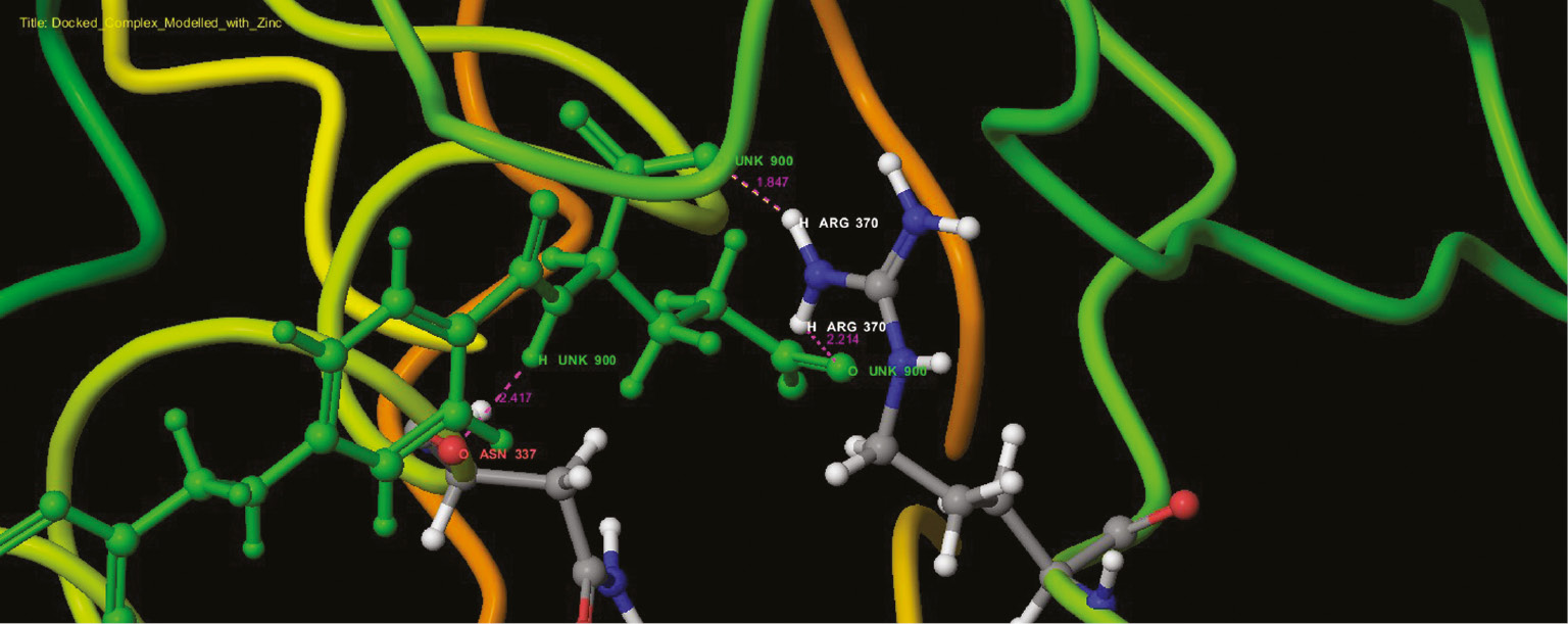 Figure 13: Interaction profile of folic acids and modeled pterin deaminase in the functional site as ribbon representation.