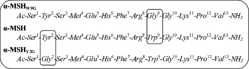 Scheme 1: Molecular structures of α-MSH and the modified peptides: α-MSHW9G and α-MSHY2G, in which the Trp and the Tyr residues of α-MSH where mutated to Gly residues, respectively.