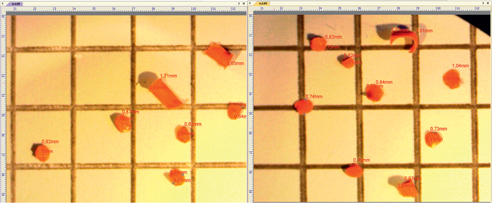 Figure 2: 16 particles observed from situation N°4 (short needle bevel, puncture angle of 90°, through a 4 mm chlorobutyl vial stopper), observed through optical microscopy, magnification times 40.