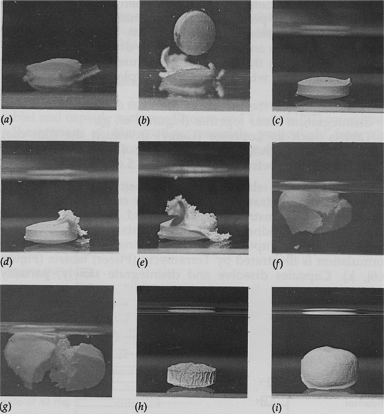Figure 3: Photographic records of various disintegration patterns of oral tablets in vitro(a,b): the Cetiprin formulation illustrating the emepromium drug core being expelled. (c,d,e) shows gradual rupture of a film coat and release of contents; (f,g) simultaneous coat rupture and disintegration (h,i): swelling of a tablet without rupture. From A. T. Florence and E. G. Salole, Formulation Factors in Adverse Reactions. Wright: London, 1990. (pp 96–102).